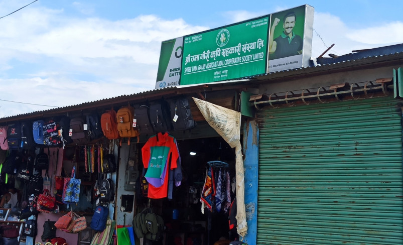 उमागौरी सहकारी ठगी प्रकरण : सक्कल मिसिल झिकाउन अदालतको आदेश
